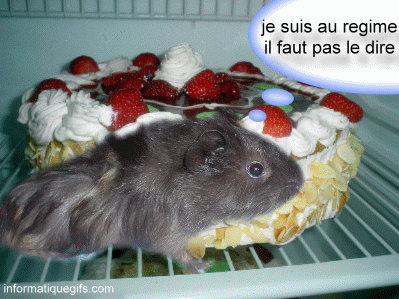 QUEL BON GATEAU !