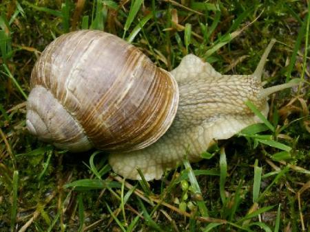 Bonjour tout le monde