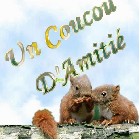 Bonjour � toutes et � tous 