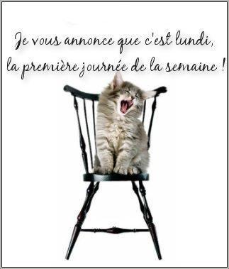 Bonjour tout le monde