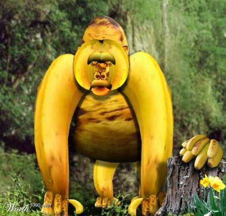 Une singe banane !