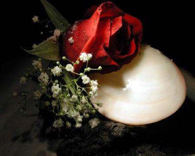 Ma m�re a trouv� un autre compagnon