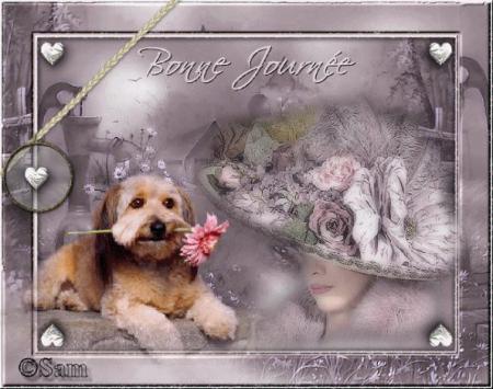 CADEAU DE MOROCCANGREATLADY / GIFS_OFFERTS