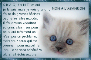 NON A L' ABANDON