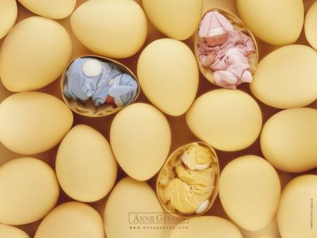 Pourquoi dire qu'elle veut nous revoir ?