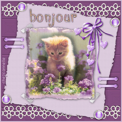 Dicton de la journ�e 