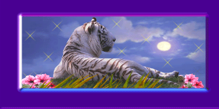 BON DIMANCHE A TOUT LE MONDE