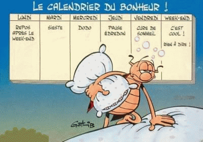 LE CALENDRIER DES VACANCES