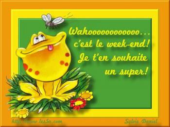 TRES BON WEEK-END A VOUS TOUS
