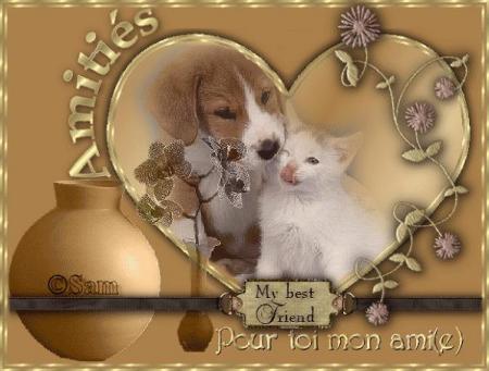 CADEAU DE MOROCCANGREATLADY / GIFS_OFFERTS