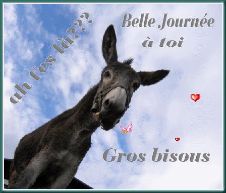 BON DIMANCHE A TOUT LE MONDE