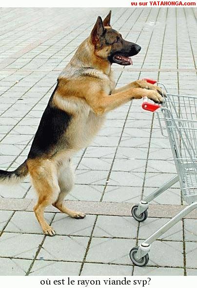 C' EST TOUJOURS LES MEME QUI BOSSE !