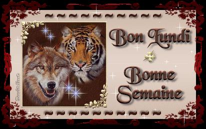 CADEAU DE ANGEL30407