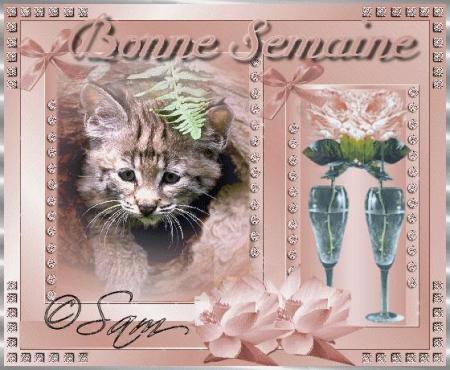 CADEAU DE MOROCCANGREATLADY / GIFS_OFFERTS