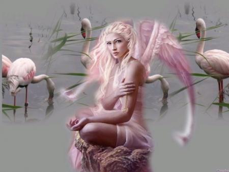 Je vous souhaite une bonne fin d'apr�s-midi les ami(e)s