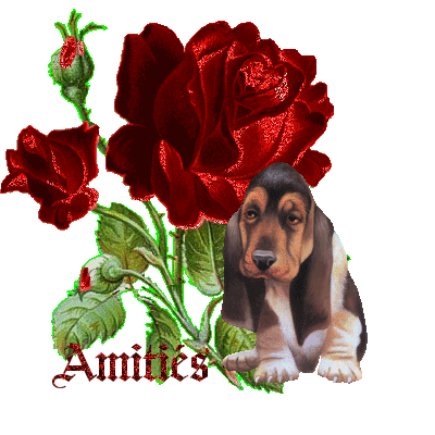 BONSOIR TOUT LE MONDE !