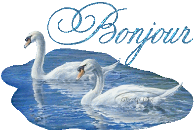 BONNE APRES-MIDI A TOUS