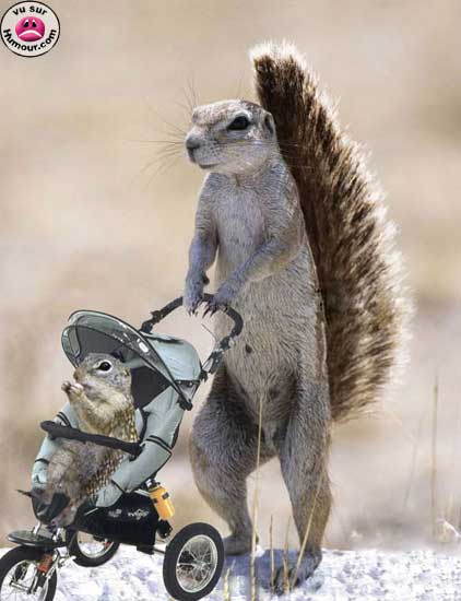 MAMAN PROMENE BEBE ! ! lol !