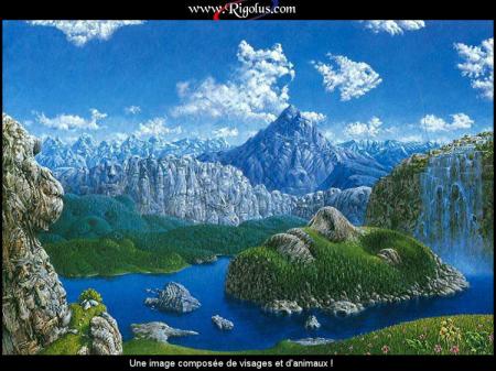 DECOUVRER DES VISAGES ET DES ANIMAUX ! ( CHERCHEZ BIEN ! )