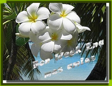 CADEAU RECU DE MARTINOUCREAS