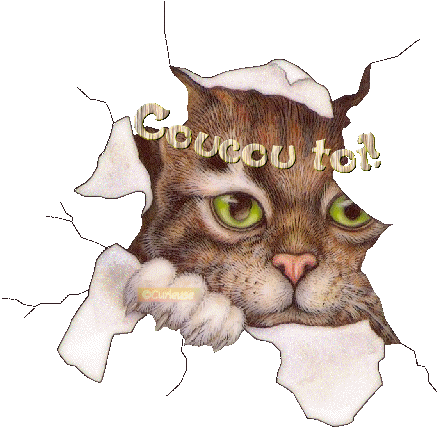 BONJOUR A TOUTES ET A TOUS