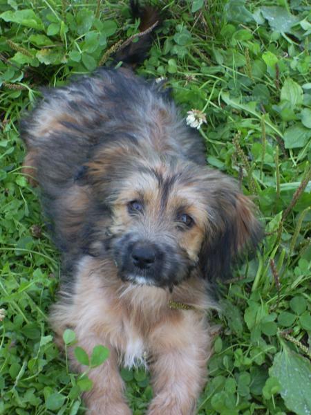 VOICI RITA.ELLE A 4 MOIS.