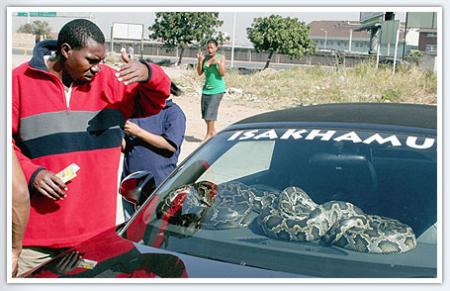 VOICI UN ANTIVOL 100% GRATUIT !