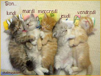 BONNE FIN D' APRES-MIDI LES AMI(E)S