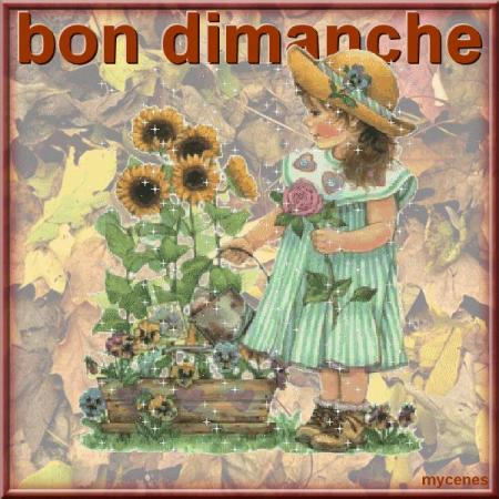 CADEAU RECU DE DOMIEP