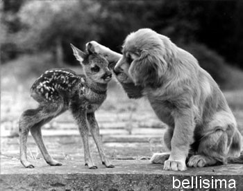 CADEAU RECU DE BELLISSIMA