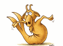 SIGNE DU ZODIAC : CAPRICORNE ... le battant.