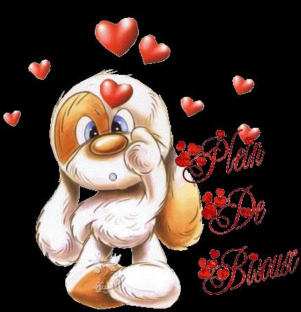 BONNE SOIREE MES AMI(E)S.