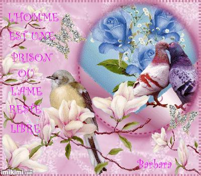 MERCI MON AMIE BARBARA