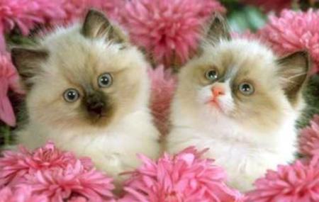 JE VOUS SOUHAITE UNE BONNE SEMAINE