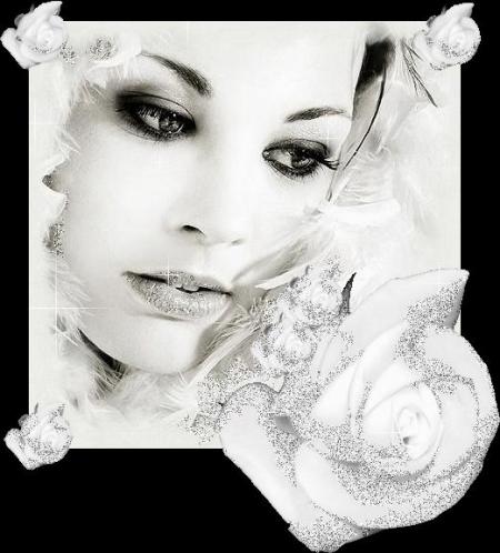 MERCI MON AMI BELLI ( VERONIKA )