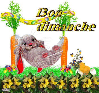 JE VOUS SOUHAITE UN AGREABLE DIMANCHE .