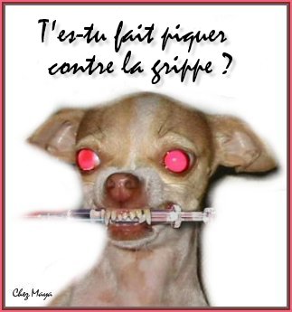 VACCIN CONTRE LA GRIPPE