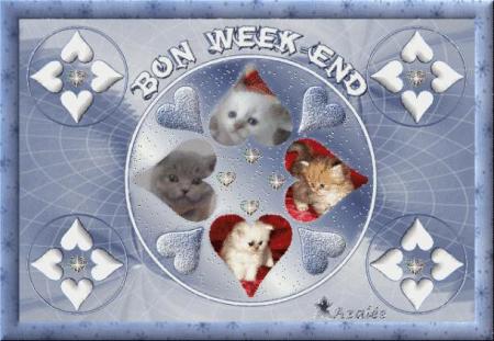 MERCI MON AMIE ( azalee )