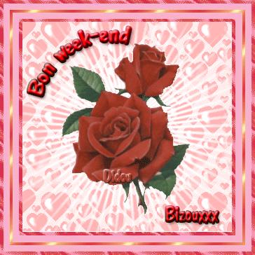 MERCI MON AMIE angel30407