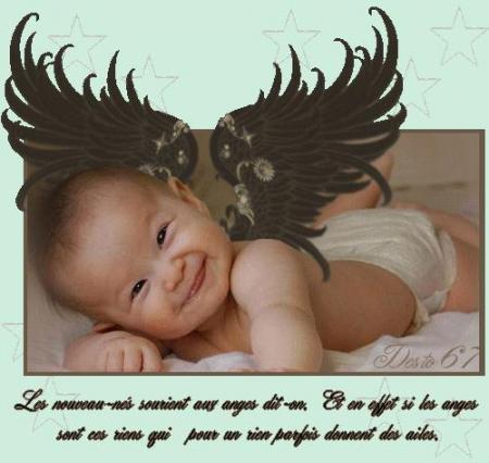 MERCI MON AMIE ( desto67 )