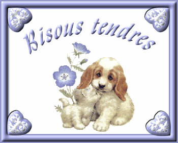 MERCI MON AMI ANDRE02