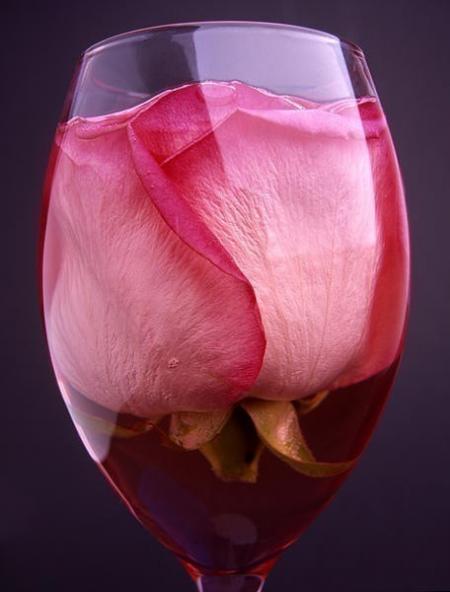 MERCI BEAUCOUP MON AMIE  ( bellisima )