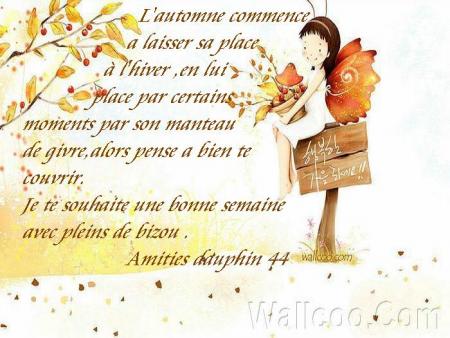 MERCI MON AMIE DAUPHIN44