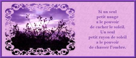 MERCI MON AMIE ( libellule-21 )