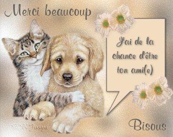 MERCI MON AMIE ( sonia11 )