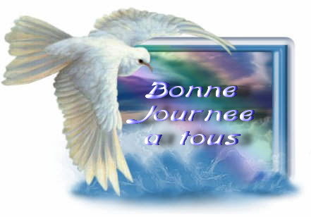 MERCI MON AMIE SCOUBI02