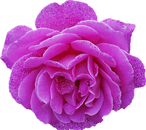 MERCI MON AMIE ( libellule-21 )