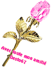 MERCI MON AMIE ( desto67 )