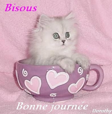 MERCI MON AMIE SYLVIEDU02