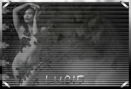 MERCI MON AMIE ( yololu )